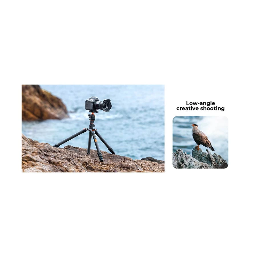 Kandf Concept K254c2 Bh 36l Fiber Tripod Price In Bd Ryans