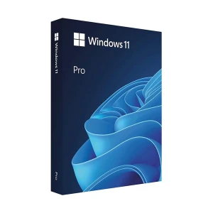 Microsoft Windows 11 Professional 32/64 Bit ENG Intl USB #HAV-00162